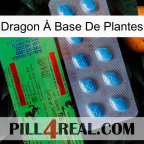 Dragon À Base De Plantes new03